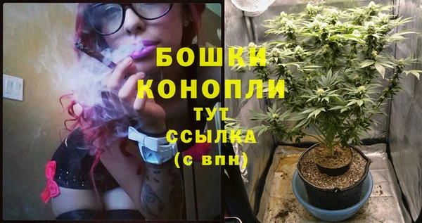 гашик Богородск