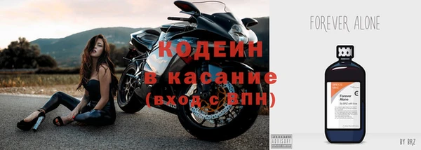 бошки Бородино