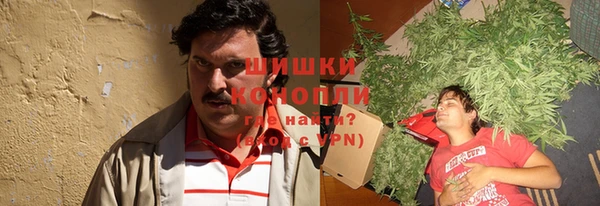 гашик Богородск